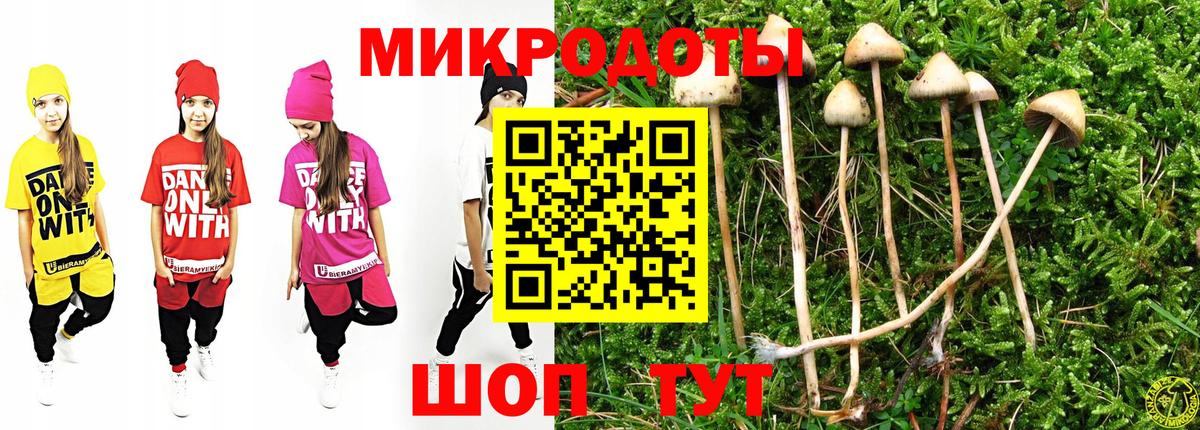 Галлюциногенные грибы Magic Shrooms Великий Устюг