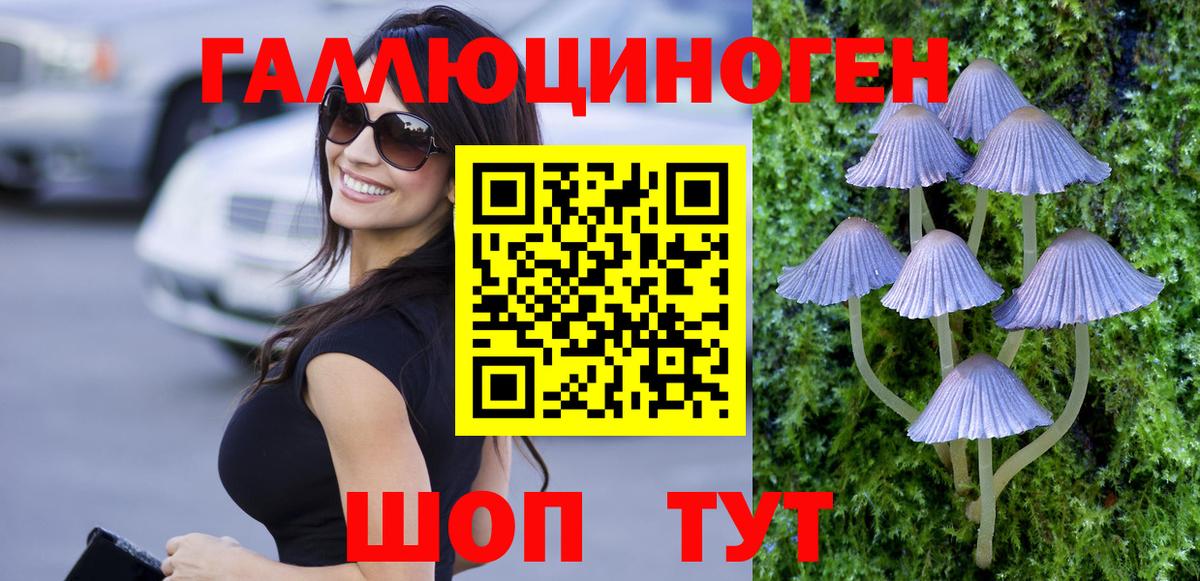 Великий Устюг  Псилоцибиновые грибы Psilocybine cubensis  Вход с VPN 